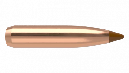 Куршуми Nosler Ballistic Tip Varmint 6mm, Dia .243, 80grs (Копие)
